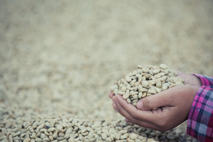 Export Brazilian Coffee Beans Do you know the ways to export Brazilian coffee beans near you?